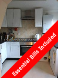 Well equipped kitchen with tumble dryer, fridge freezer, washing machine