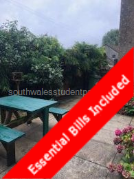 Court yard garden with picnic table, bicycle storage shed