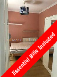 Bedroom 3- Double bed,wardrobe, desk and book shelves